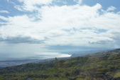 Enlarge photo 221