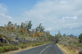 Enlarge photo 229