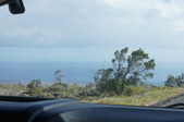 Enlarge photo 230