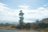 Enlarge photo 231