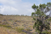 Enlarge photo 233