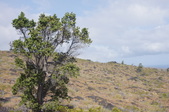 Enlarge photo 234