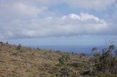 Enlarge photo 232