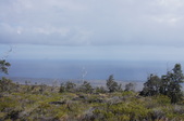 Enlarge photo 236