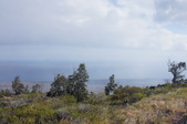 Enlarge photo 237