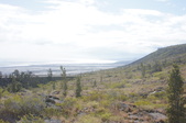 Enlarge photo 238