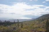 Enlarge photo 239