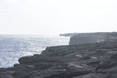Enlarge photo 242