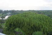 Enlarge photo 267