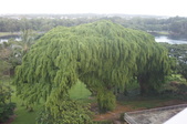 Enlarge photo 268