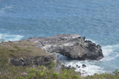 Enlarge photo 275