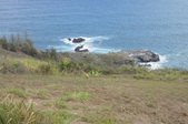 Enlarge photo 276