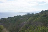 Enlarge photo 284