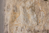 Enlarge photo 294