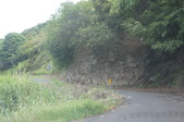 Enlarge photo 295