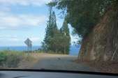 Enlarge photo 297