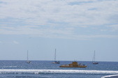 Enlarge photo 299