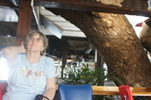 Enlarge photo 301
