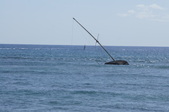 Enlarge photo 305