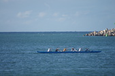 Enlarge photo 307