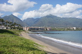 Enlarge photo 317