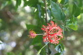 Enlarge photo 320