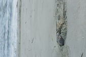 Enlarge photo 36