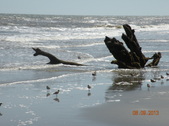 Enlarge photo 15