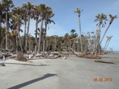 Enlarge photo 25
