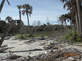 Enlarge photo 26