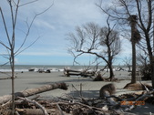 Enlarge photo 27