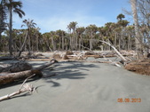 Enlarge photo 28