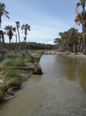 Enlarge photo 31