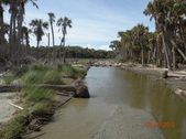 Enlarge photo 32