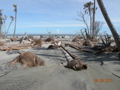 Enlarge photo 33