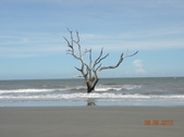 Enlarge photo 35