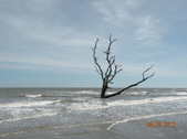 Enlarge photo 36