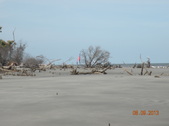 Enlarge photo 37
