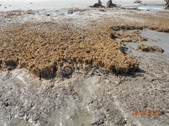 Enlarge photo 51