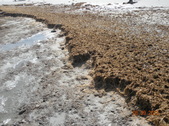 Enlarge photo 52