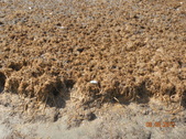Enlarge photo 53