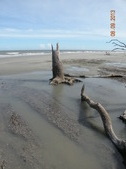 Enlarge photo 55