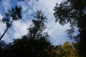 Enlarge photo 35