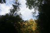 Enlarge photo 37