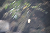 Enlarge photo 36