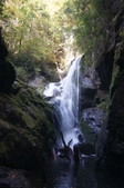 Enlarge photo 41