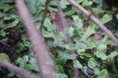 Enlarge photo 45