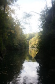 Enlarge photo 53
