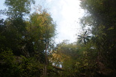 Enlarge photo 55