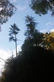 Enlarge photo 56